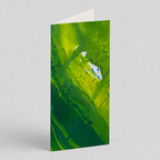 HANDMADE CARD